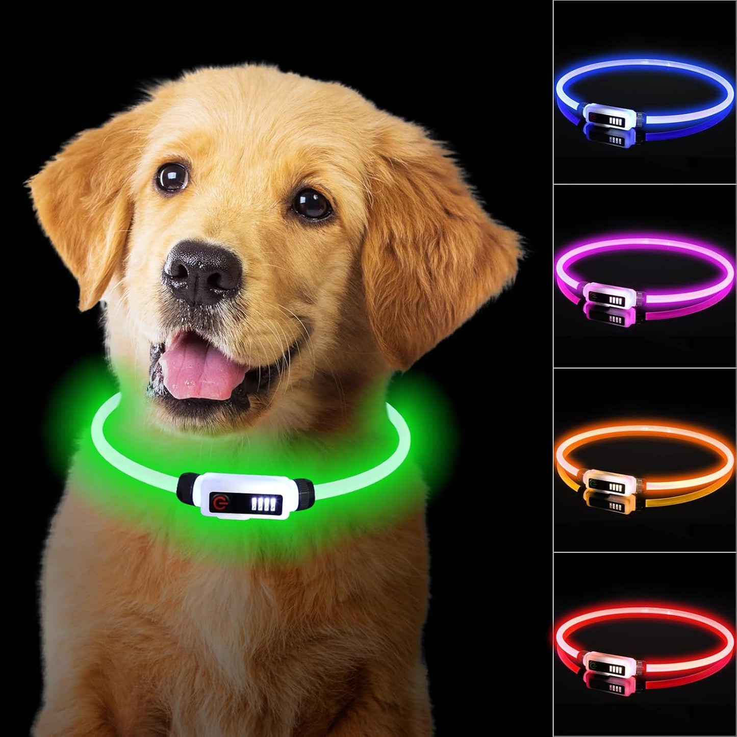 🦴 Collier LED Lumineux pour Chien – Sécurité et Stylé lors des Balades Nocturnesar