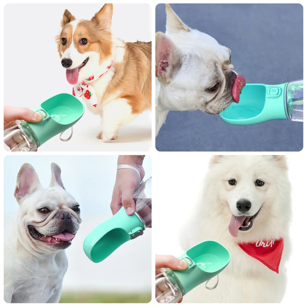 💧Gourde Portable Anti-Fuite pour Chiens & Chats – Avec Bol Intégré