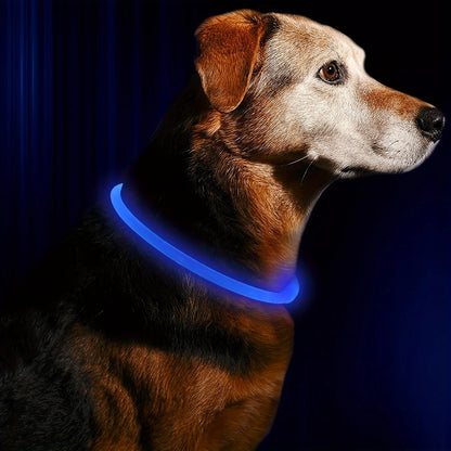 🦴 Collier LED Lumineux pour Chien – Sécurité et Stylé lors des Balades Nocturnesar