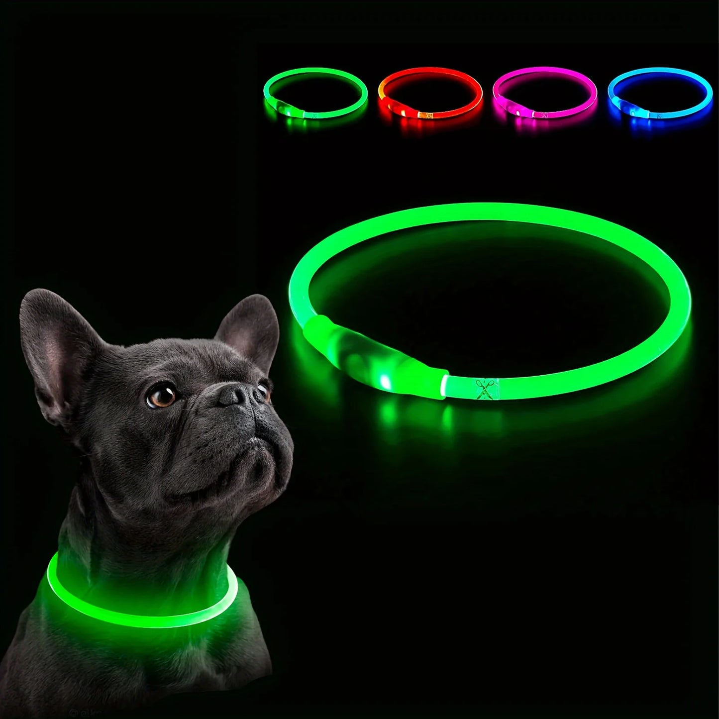 🦴 Collier LED Lumineux pour Chien – Sécurité et Stylé lors des Balades Nocturnesar