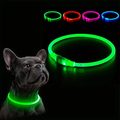 🦴 Collier LED Lumineux pour Chien – Sécurité et Stylé lors des Balades Nocturnesar
