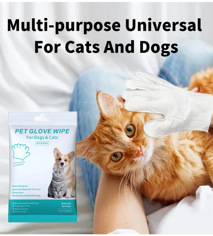🐾 Gants Nettoyants Jetables pour Chiens & Chats